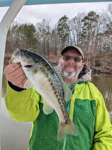  - Spotted Bass
