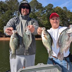 Crappie fish caught in GA while fishing