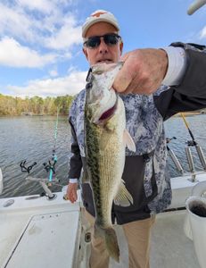 Angler fishing on Georgia coast