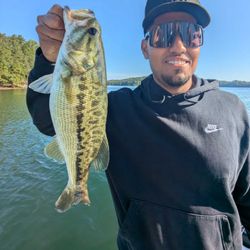 Fishing in GA