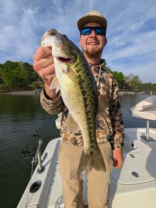 A person fishing in Gainesville