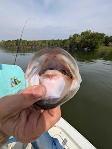 Fishing trip in GA