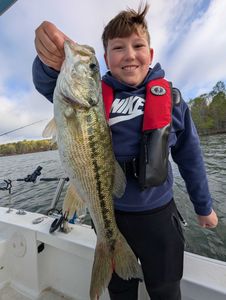 A person fishing in Georgia