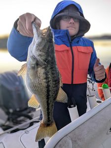 Fishing in Gainesville, Florida