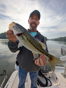Angler fishing in Gainesville