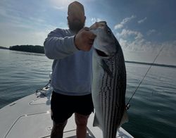 Striped bass caught in Gainesville
