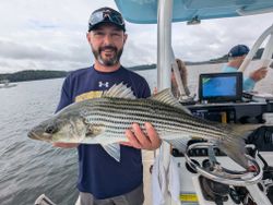 Striped bass caught while fishing in Gainesville