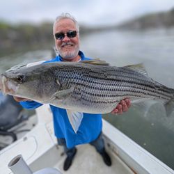 Striped bass caught in Gainesville