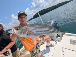 Striped bass caught while fishing in Gainesville
