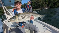 Striped bass caught while fishing in GA