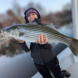 Striped bass caught while fishing in GA