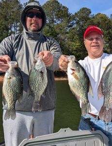 4 crappie fish caught in GA