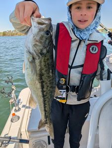 Angler caught a 29-inch fish in GA