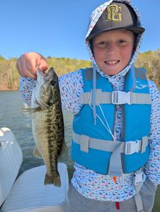 Guadalupe bass, fishing in GA