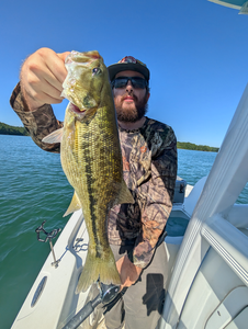 Light tackle triumph: Guadalupe Bass caught in clear Gainesville waters!