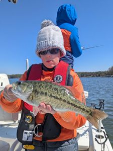 Guadalupe bass caught fishing in GA