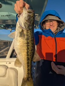 Largemouth Bass caught in GA