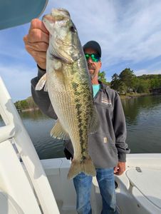 Largemouth bass fish caught in GA