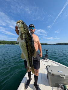 Jigging for Largemouth Bass in Gainesville's clear skies!