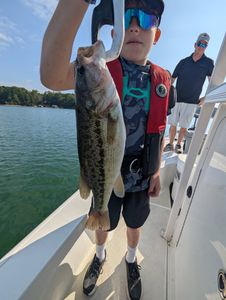 Largemouth Bass caught while fishing in GA