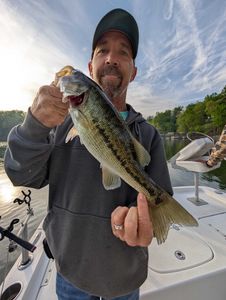 Largemouth Bass caught in GA