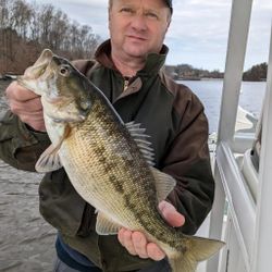 A large largemouth bass caught while fishing in GA