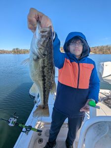 Largemouth Bass caught in GA