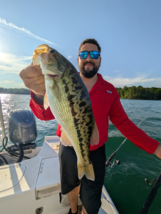 Huge 29-inch Largemouth Bass hooked while jigging!
