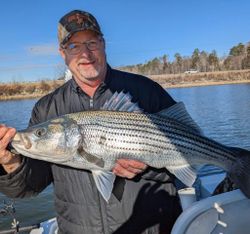 Striped Bass, lake lanier guides