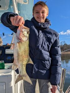 Lake Lanier’s fish-filled depths offer excitement