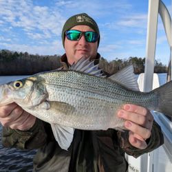 Reeling in the stripes! #StripedBass