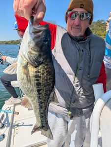 Redeye Bass Caught While Fishing in GA