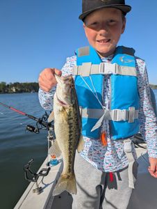 Redeye bass, a great catch in Gainesville