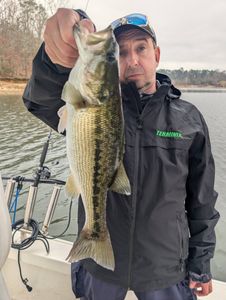 Redeye Bass caught while fishing in GA