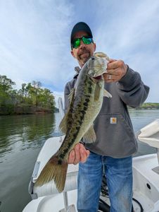 A single angler fishing in GA