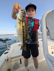 Photograph of a spotted bass caught while fishing in Gainesville