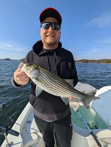 Nice striped bass using jigging and trolling techniques on the lake today!