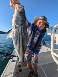 Striped bass caught in GA