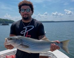 Striped bass catch in GA