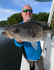 Striped bass caught in GA