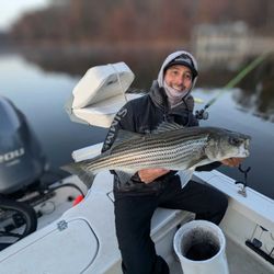 A striped bass caught during a fishing trip in GA