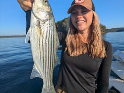 Striped bass caught in GA