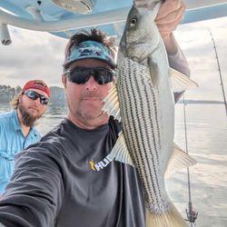 Striped bass caught in GA during fishing