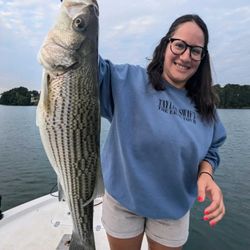 Striped bass fishing in GA