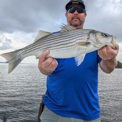 Striped bass fishing catch in GA