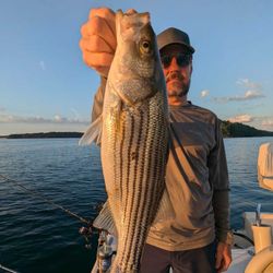 Striped bass fishing in GA
