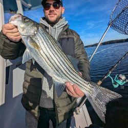 Striped bass fishing in GA