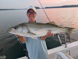 Striped bass caught fishing in GA