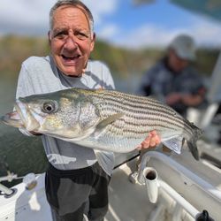 Striped bass fishing in GA