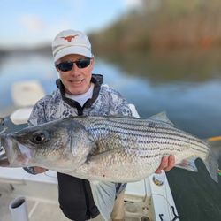 Striped Bass caught fishing in GA